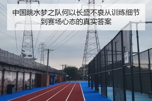 中国跳水梦之队何以长盛不衰从训练细节到赛场心态的真实答案